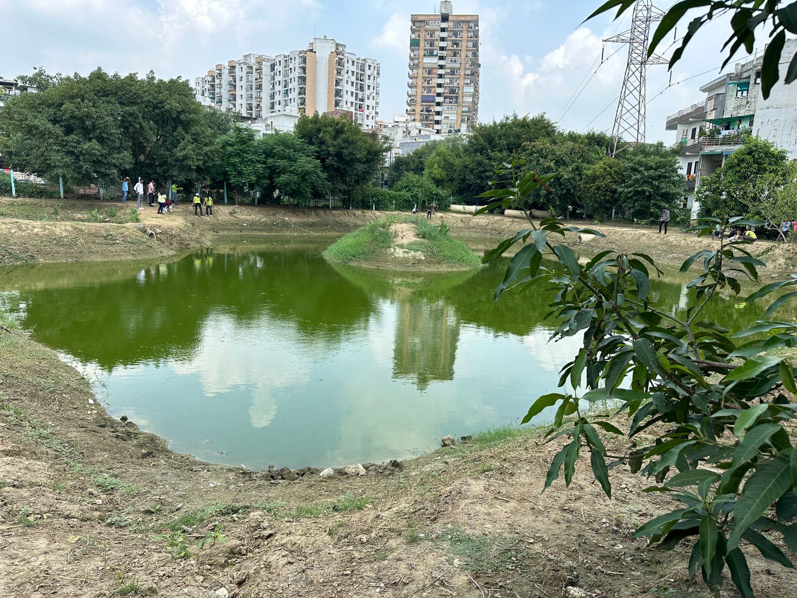 Water Body Restoration